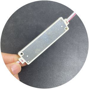 <span class=keywords><strong>5</strong></span>年保証250lm DC12V 20*45レンズ3W両面発光ライトボックスABSインジェクション<span class=keywords><strong>LED</strong></span>モジュールライト