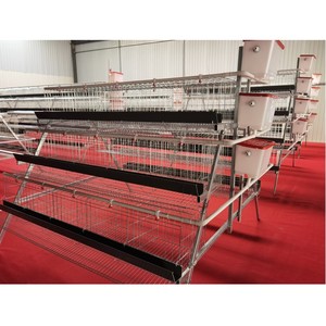 Tavuk projesi kuş kafesi ihracat tavuk kafes tabakası tavuk evi için 1000 tavuk - Product Image 6