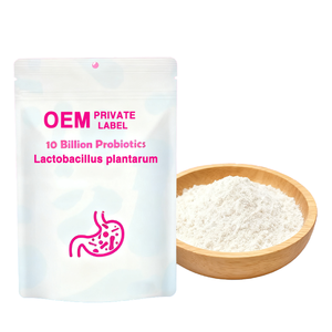 Nhà máy cung cấp Lactobacillus acidophilus Men vi sinh Enzyme Chất lượng cao nguyên liệu Men vi sinh bột với số lượng lớn giá cả tuyệt vời - Product Image 2