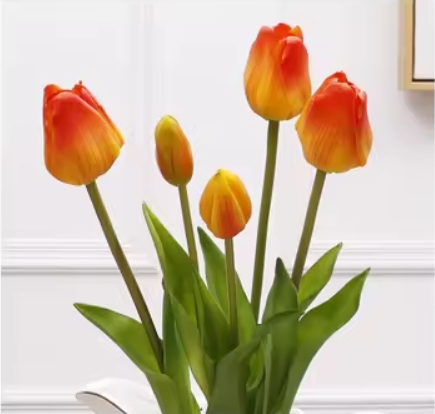 สีส้ม