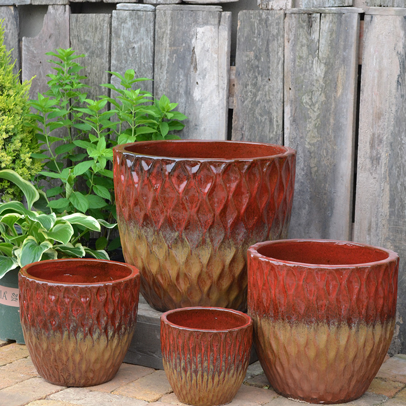 Tropical Red & Oxide