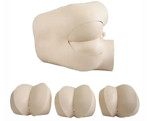 Rektal muayene için gelişmiş hemşire eğitim tıbbi simülatörü temel tıp bilimleri modeli - Product Image 2