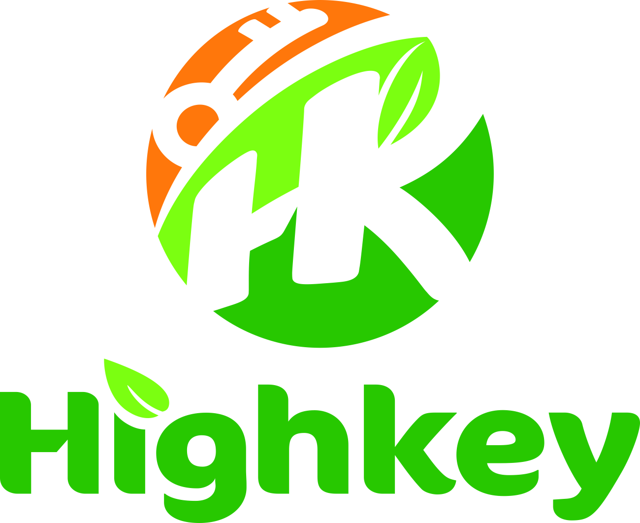 company logo
