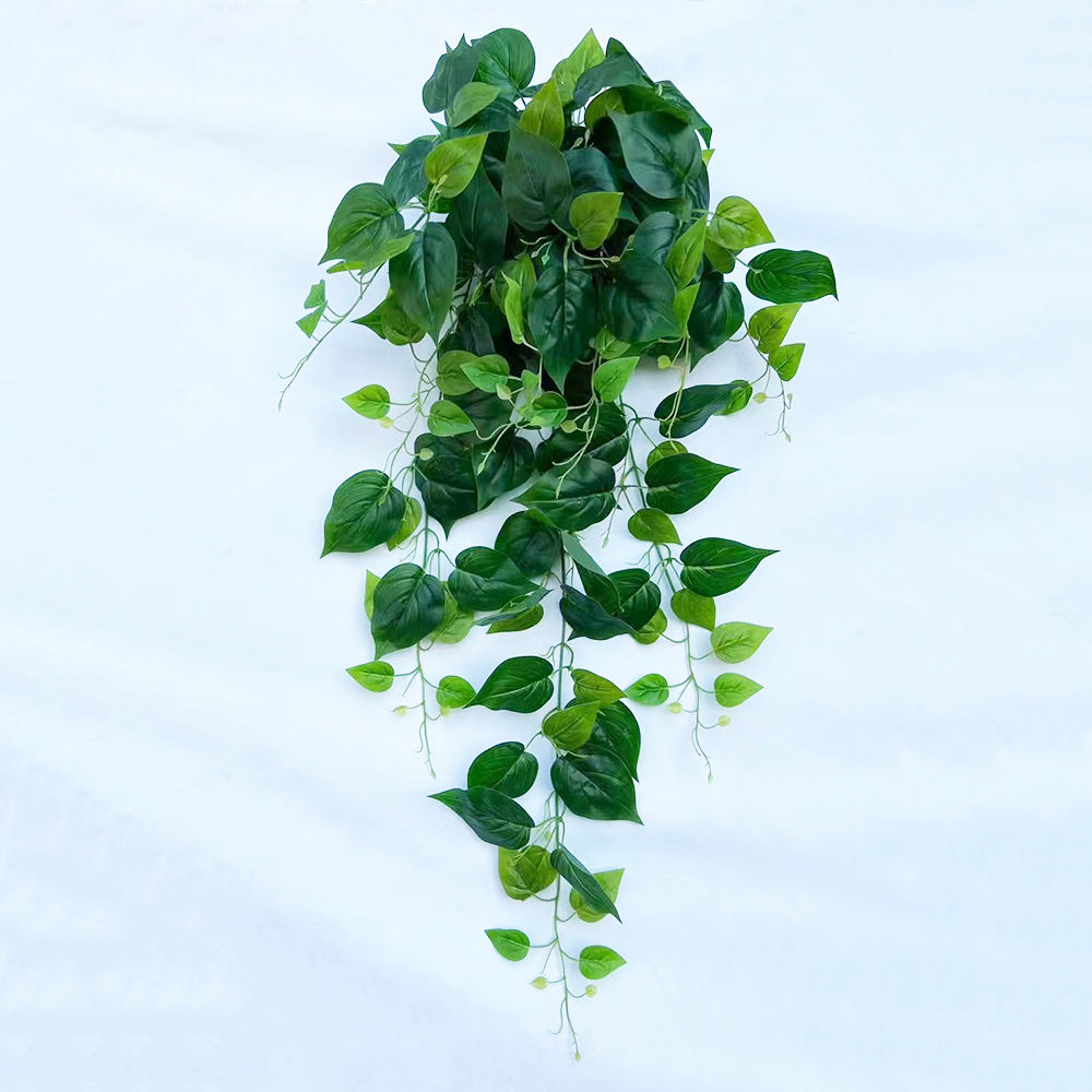 Feuilles de pomme verte