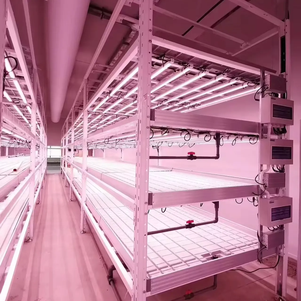 Gewächshaus automatische Kontrolle Nährstofflösung und Bewässerung Gemüse Versandcontainer Farm vertikale Farm