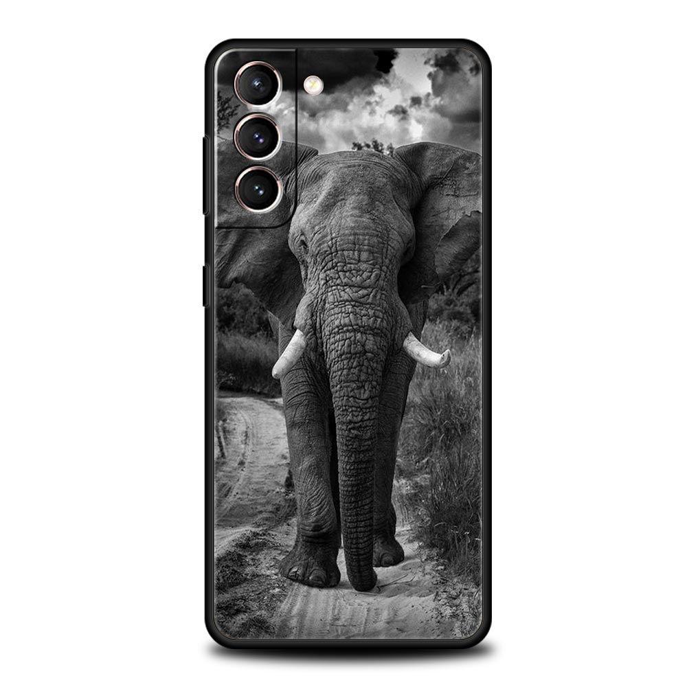 A10