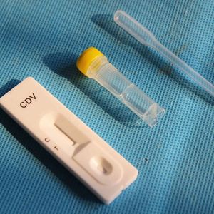 Ehrlichia/Babesia/Anaplasmaコンボテストキットペット診断のためのIVDテスト-診断と麻酔に不可欠 - Product Image 6