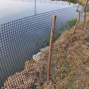 Valla de malla de plástico para aves de corral, valla para pollo, valla para huerto, borde de jardín, red para recinto de zoológico - Product Image 1