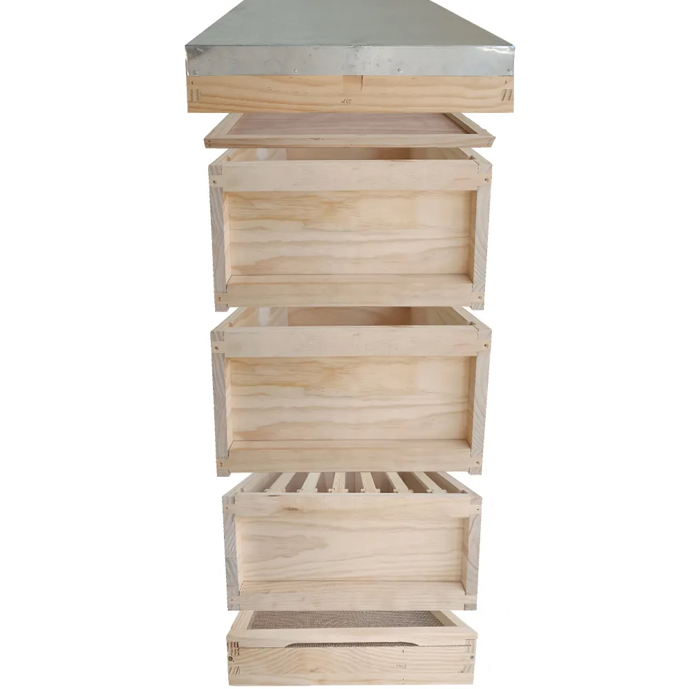 Caja de colmena de abejas Langstroth nacional personalizada, equipo de apicultura, colmena de abejas de madera