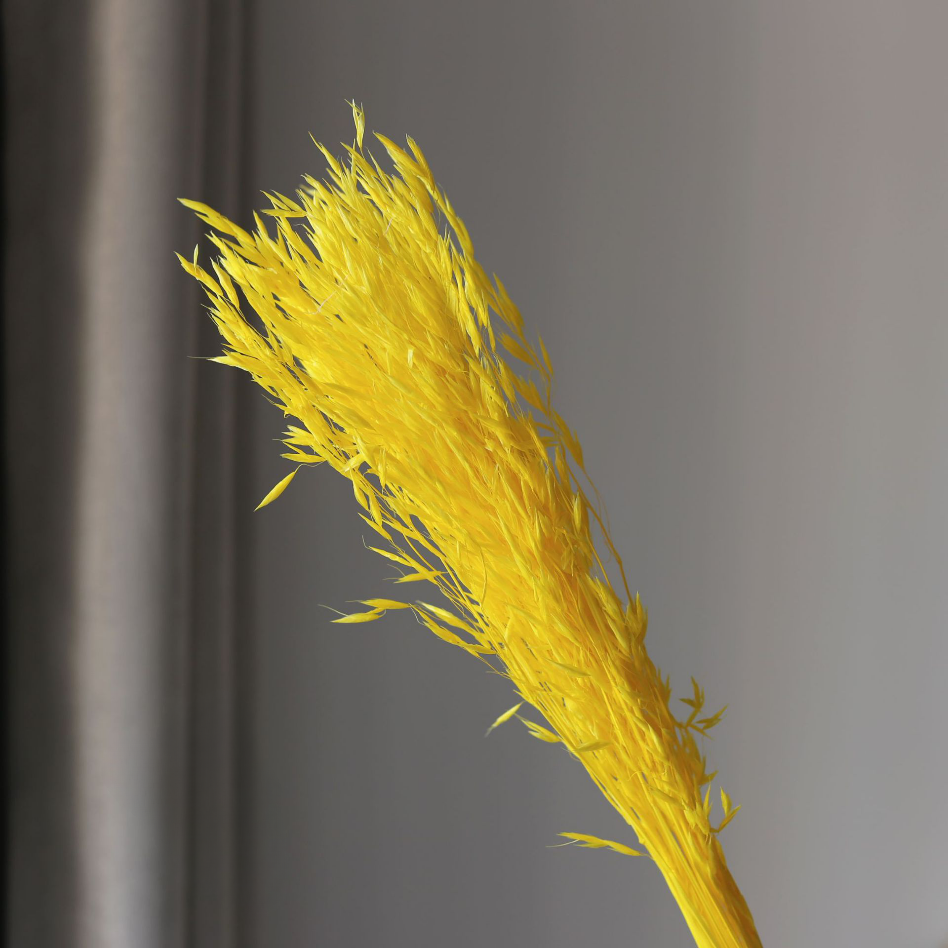 สีเหลือง