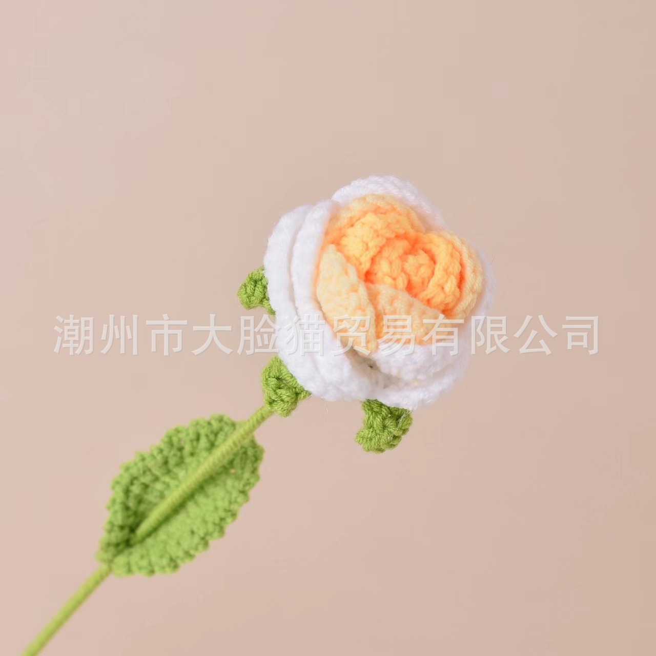 Yellow gradient rose