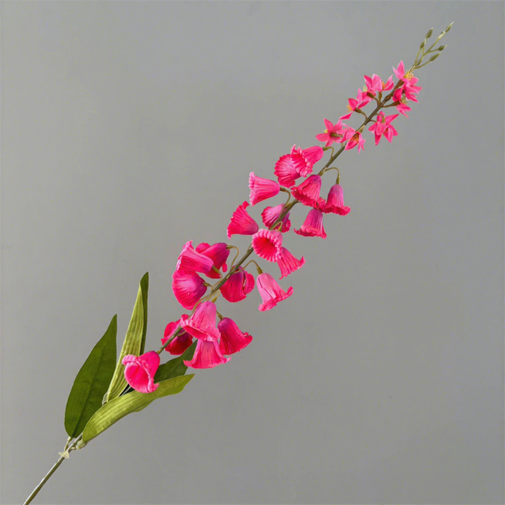 rose chaud