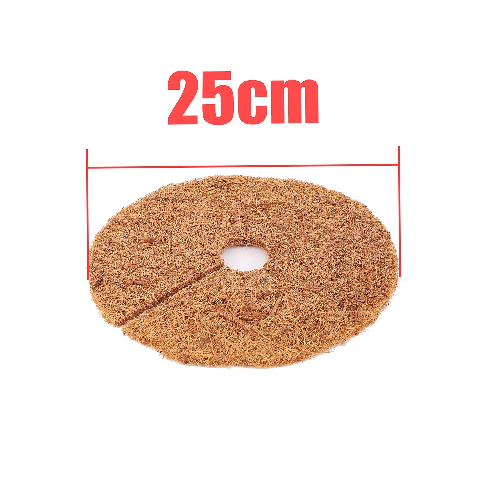 25 cm(9.84in)