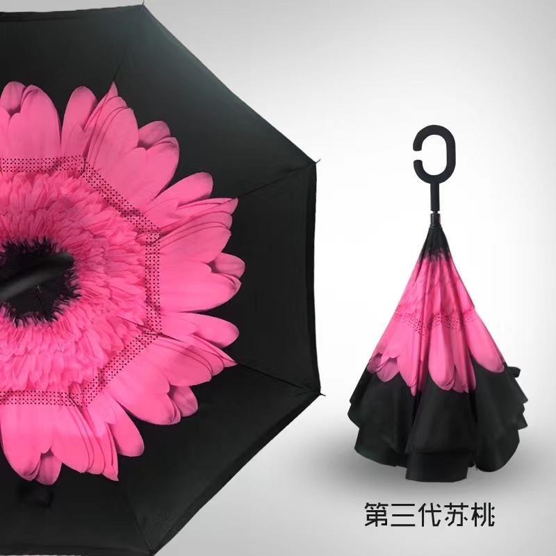 Fleur rose rouge
