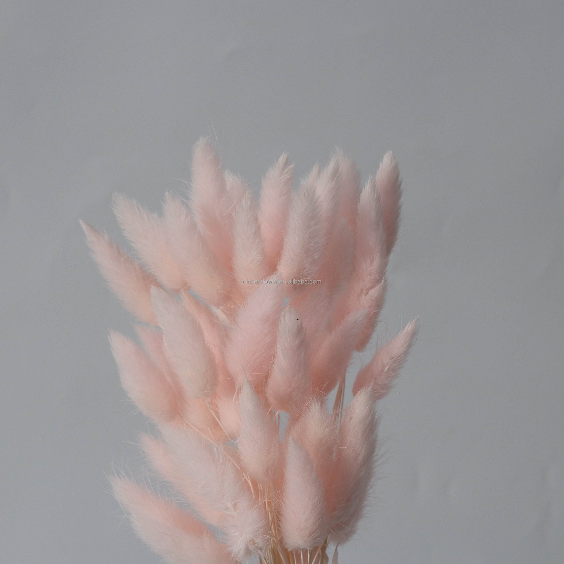 Rosa claro