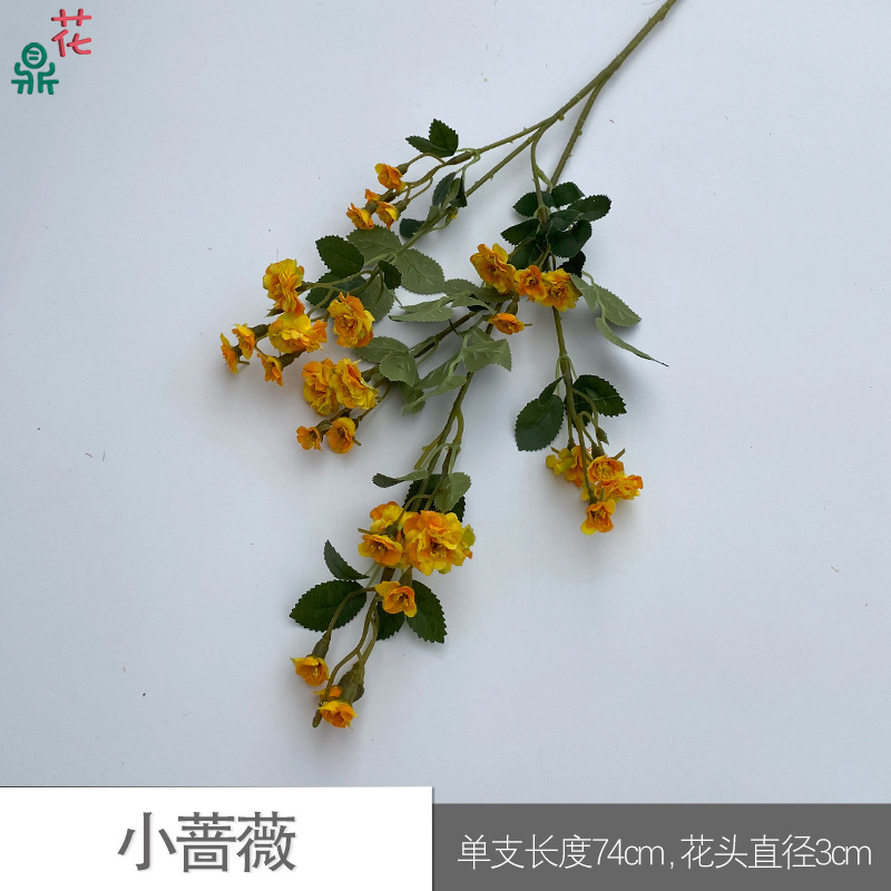 Little Rose SCN Yellow