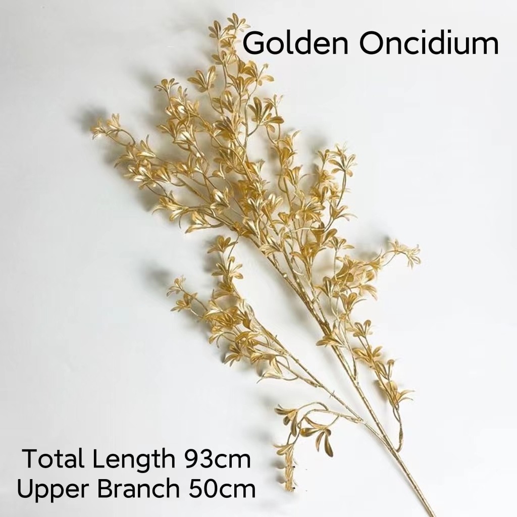Oncidium doré