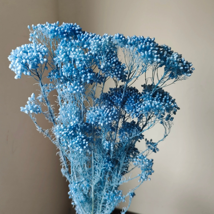 Blu cielo sbiancato