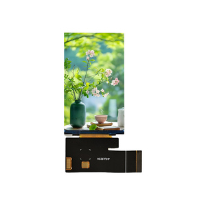 <strong>Wholesale</strong> 4-Inch High Resolution TFT LCD Module 480*800 IPS Type RGB MIPI Interface <strong>LCM</strong> Panel LCD Screen Display LCD Display - Product Image 1