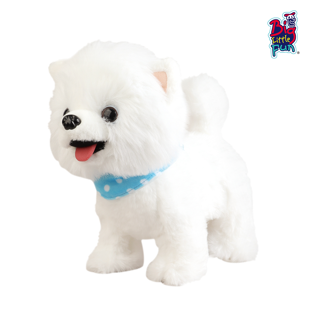 BZ813202