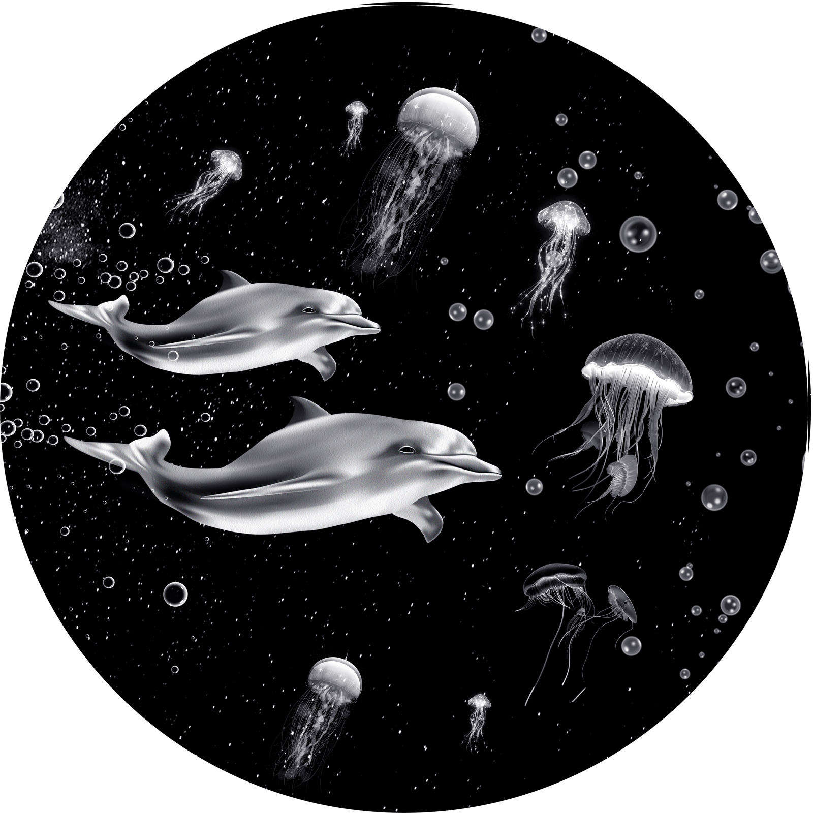 Película en blanco y negro 10