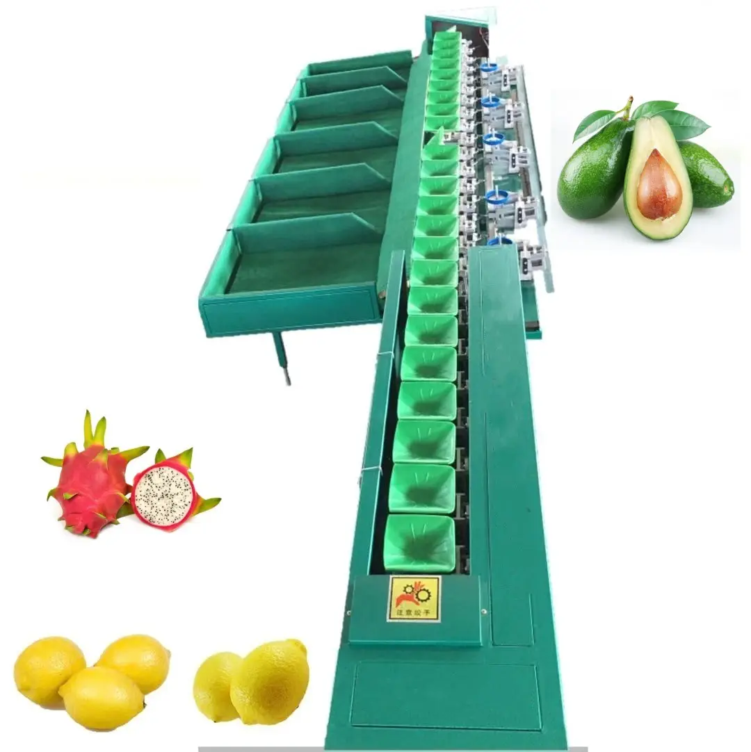 Trọng lượng phân loại máy trái cây và rau chấm điểm máy rồng trái cây phân loại máy