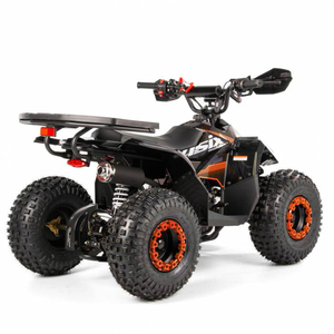 タオモーター2024ATV110中国の安い四輪車110ccミニクワッドバイクキッド自動リバースファームATV - Product Image 3