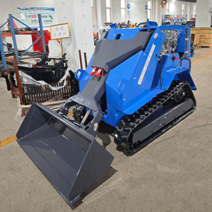 Trung Quốc Nhà sản xuất 0.3ton Skid chỉ đạo với CE/EPA động cơ theo dõi Skid chỉ đạo Bộ nạp đi xe trên Mini Crawler loader Giao hàng nhanh - Product Image 1