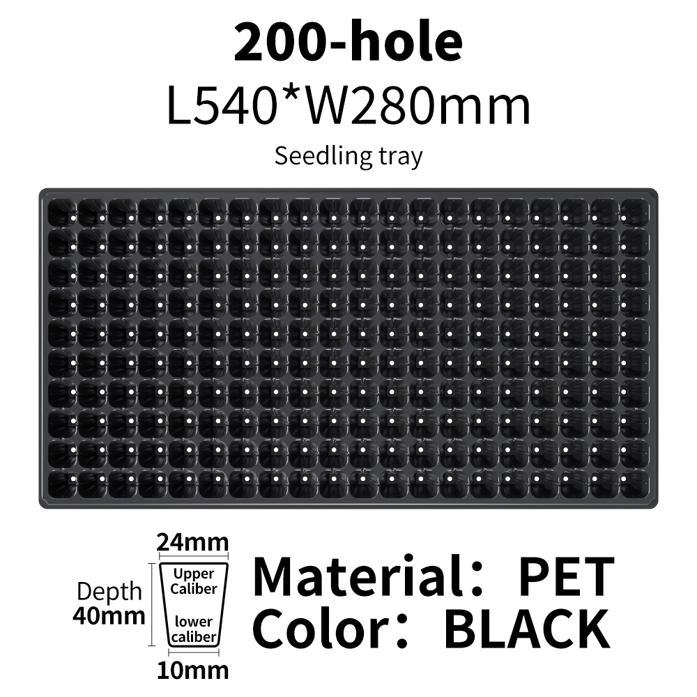 Noir 200 cellules