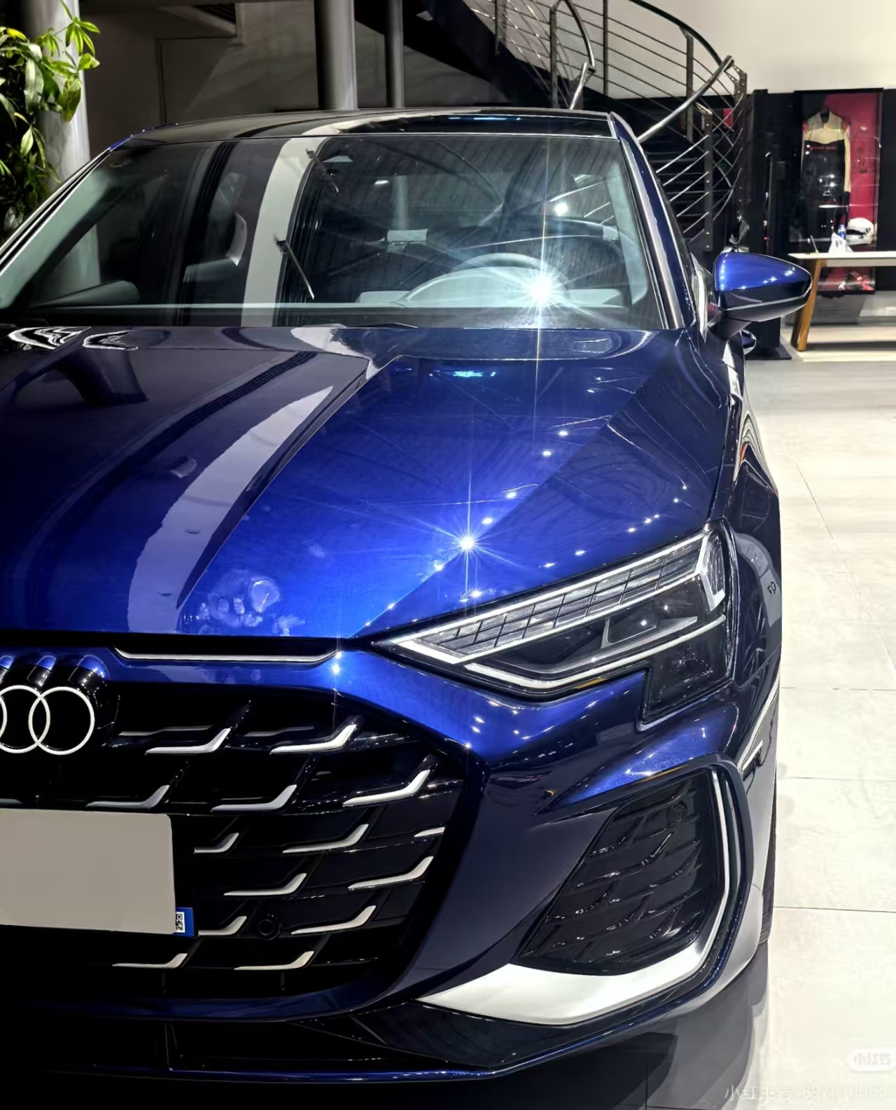PET Audi Navarre Blue