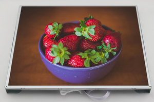 Computer LCD Touchscreen da 15.6 pollici di livello industriale con interfaccia DP durata dell'altoparlante integrato per condizioni difficili - Product Image 5