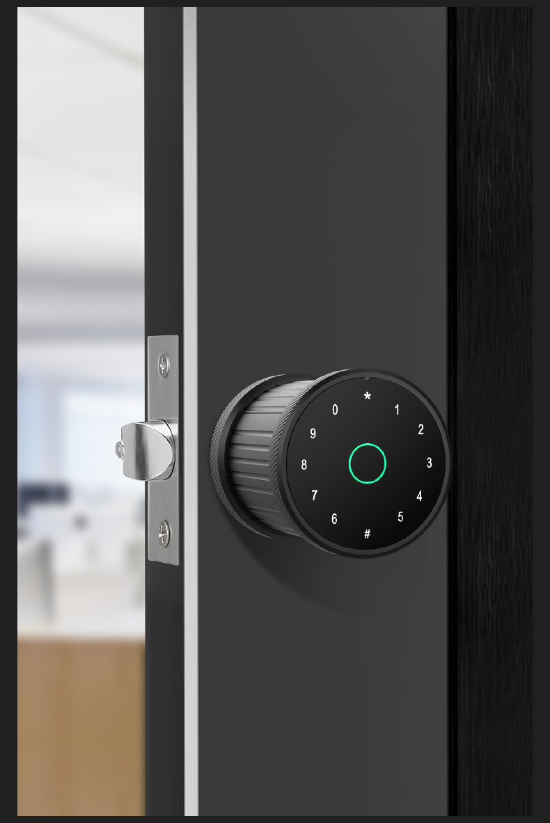 door lock guangdong*hyh hardware adobe master collection electronics locks ttlock finger print door lock