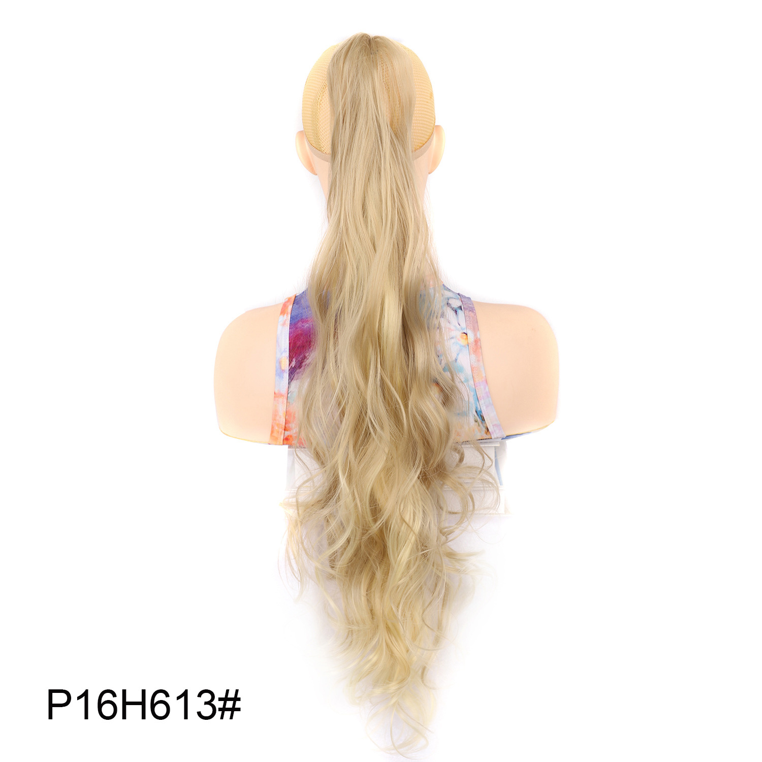 P16H613