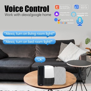 适用于Tuya 146型智能WIFI组合开关Alexa语音兼容性多开多控欧盟插头10A 240V家用 - Product Image 4