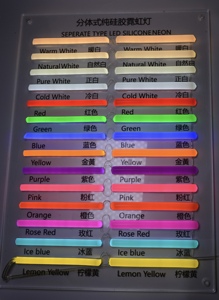 DC12V RGB LED Neon ışık şeridi kesilebilir 6mm/8mm/12mm 2.5cm silikon gül kırmızı pembe turuncu buz mavi özel IP65 Flex özelliği PVC - Product Image 5