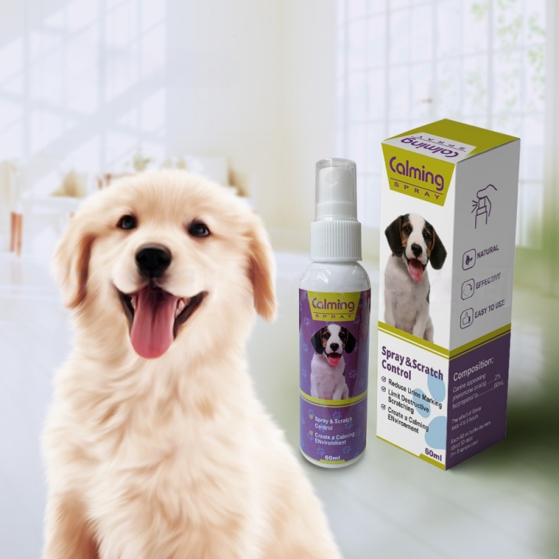 Purple (dog)