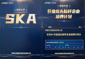 FNR Key-Prog 4-in-1 Key Prog For R-enault F-ord N-issan with D-ongleプログラミング診断ツール - Product Image 6