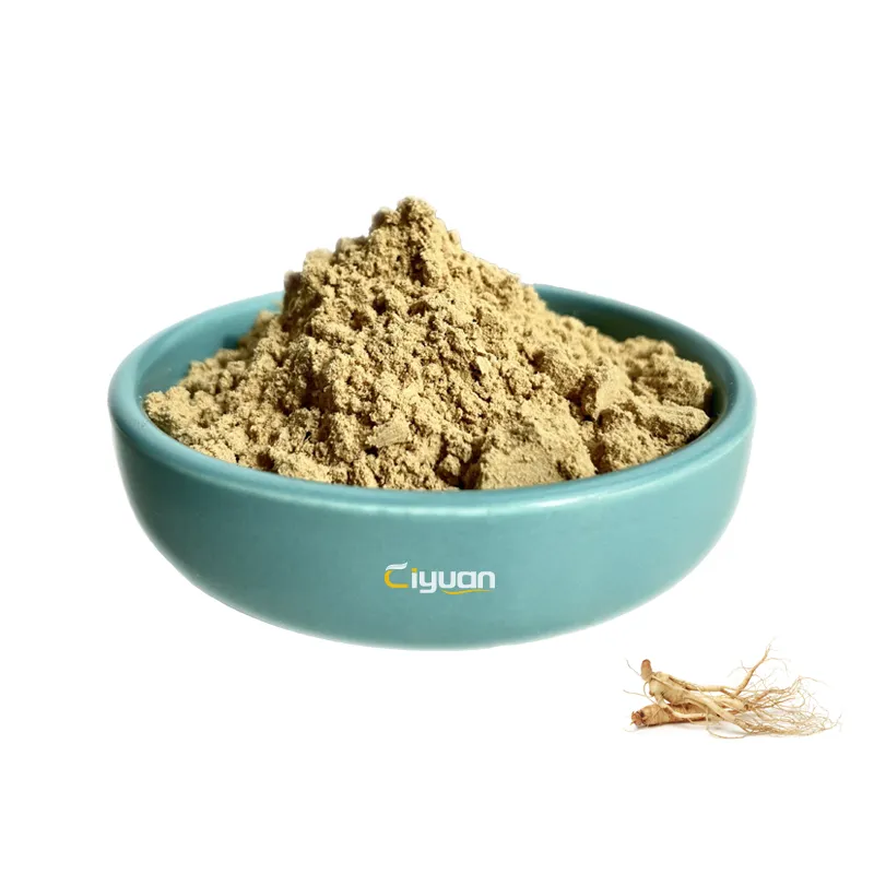 Ciyuan Factory Supply Ginseng Extract