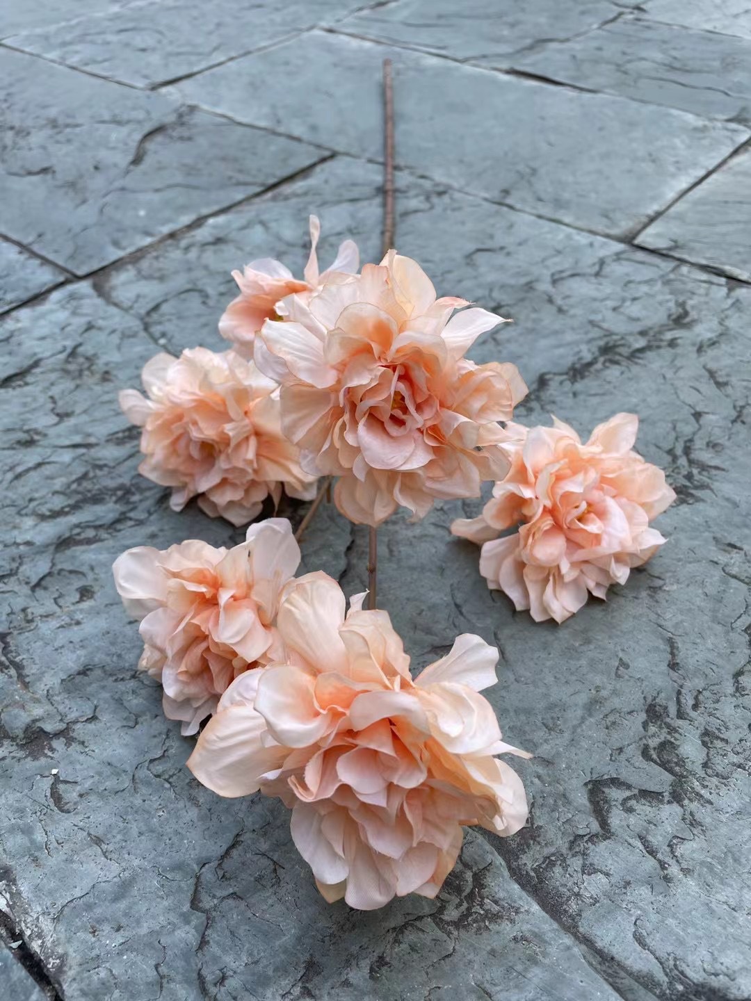 6 fleurs de chanai champagne profond