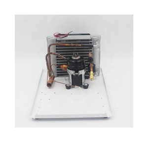 Dc 12v 24v mini soğutma ünitesi yoğuşmalı ünitesi HAVA SOĞUTUCU klima için kırmızı şarap soğutucu araba buzdolabı nem alma cihazı - Product Image 5