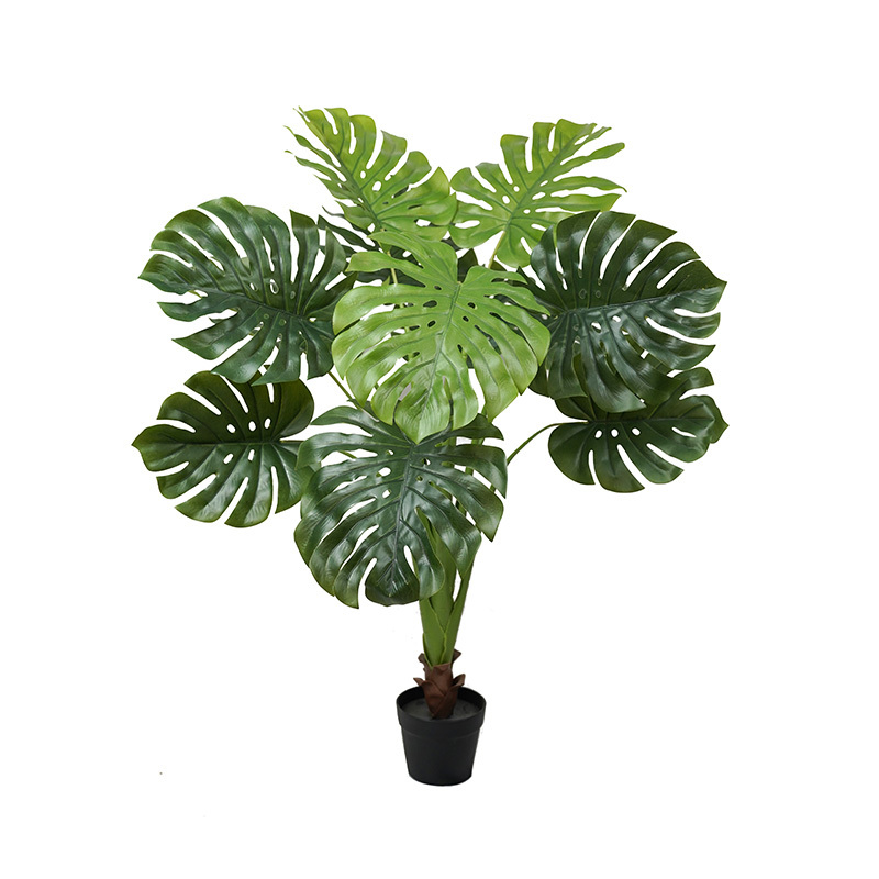 Verde-TZL2503021