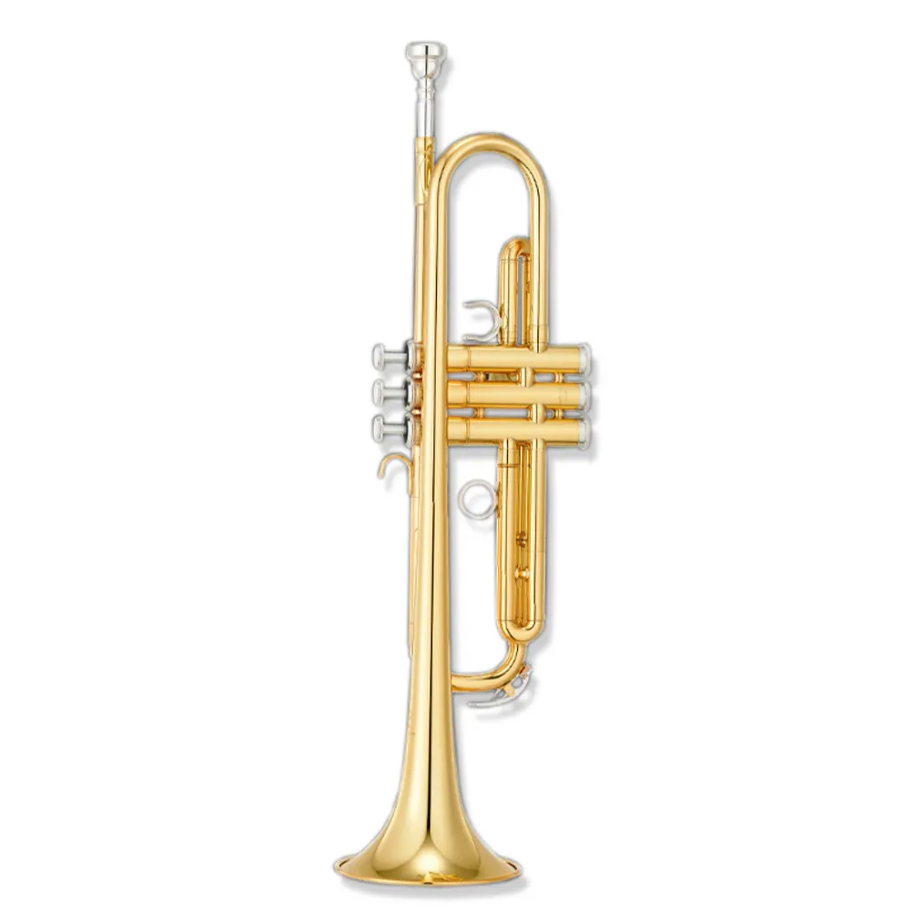 Instrumento de trompeta para principiantes Bb banda profesional Trompeta instrumento de latón