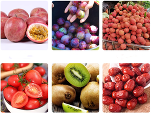 Buena eficiencia manzana guayaba aguacate cítricos clasificación máquina Kumquat cereza clasificación Orbital clasificación máquina - Product Image 2
