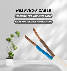 扁平电缆H03VVH2-F 2x0.75毫米250V 10A延长线电气聚氯乙烯建筑电缆线 - Product Image 3
