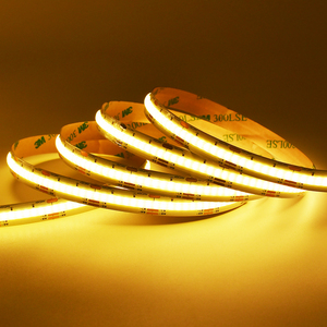 High Lumen 5m/R LED Smart Strip Lights Einzelne weiße Farbe Ambient DC12/24V Fernbedienung App Control Smart Strip Lights