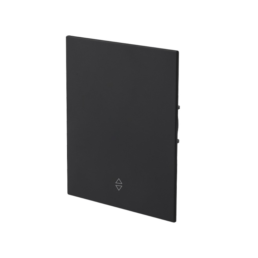 1 GANG 2WAY Module