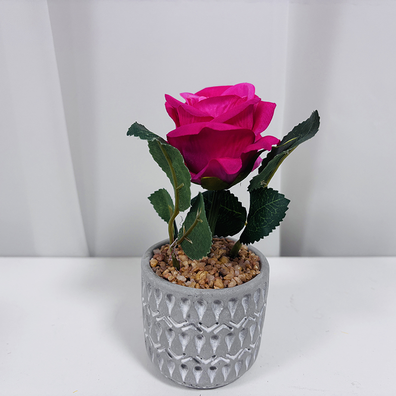 Rose rose
