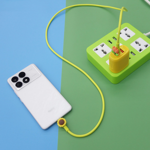 新款20W 30w卡通USB C电缆卡通可爱设计充电类型c至类型c USB电缆