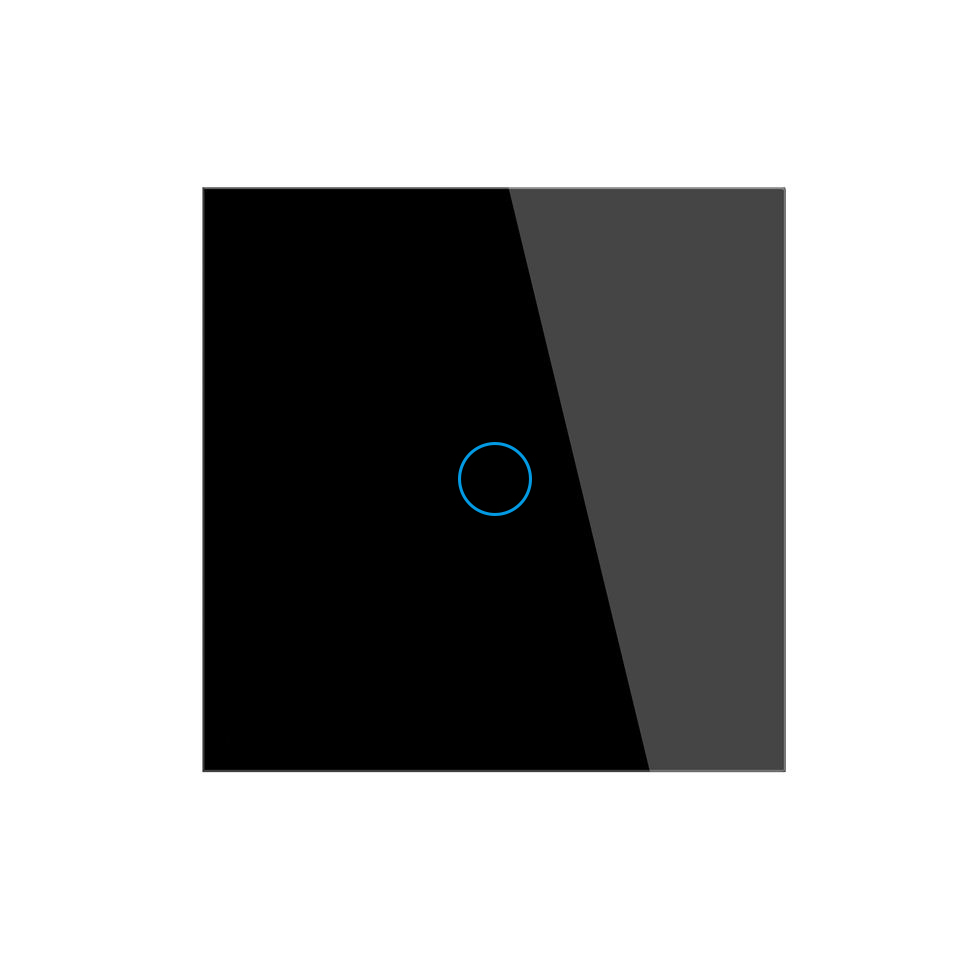 Negro