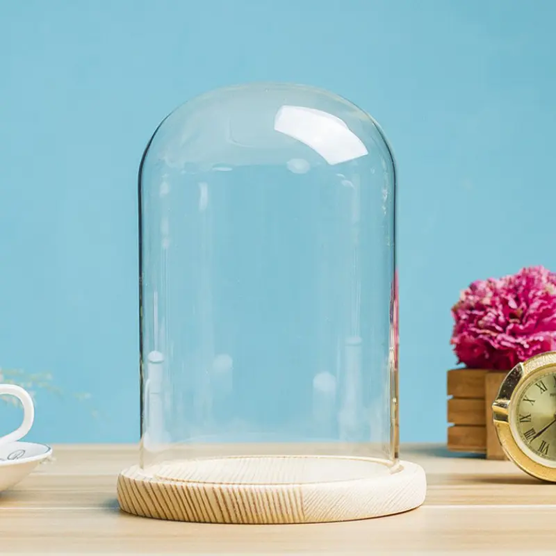 Geodesic-Tubo de campana para vaso de vidrio, tapa de cúpula facial, aislamiento de papel